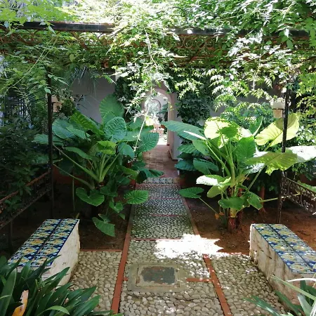 Apartamento A Primera Linea De Playa