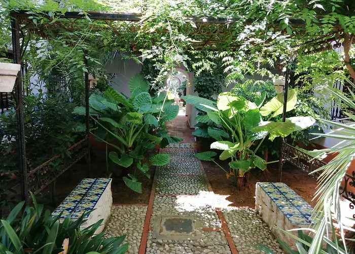 Apartamento A Primera Linea De Playa